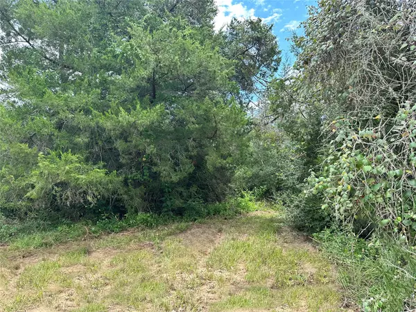 Cistern, TX 78959,000 Buck Run DR