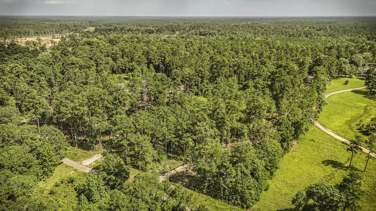 Warren, TX 77664,TBD CR 1520