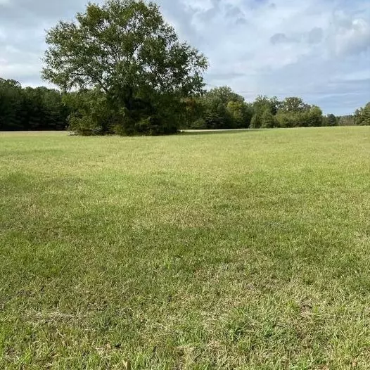 Other, AR 71836,0 hwy 41 S