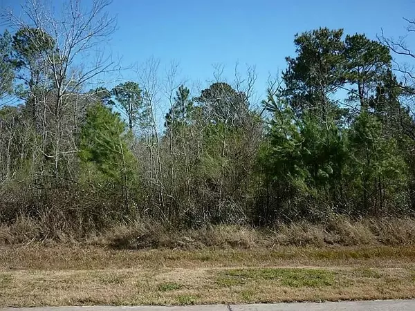 Alvin, TX 77511,7311 Bayou Timbers DR