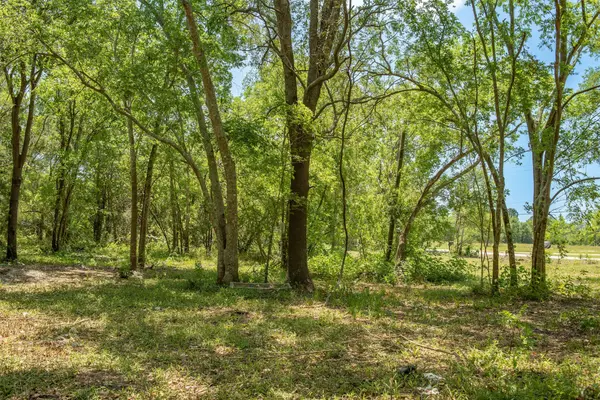 Arcadia, TX 77517,0000 Ike Franks Tract 12 RD