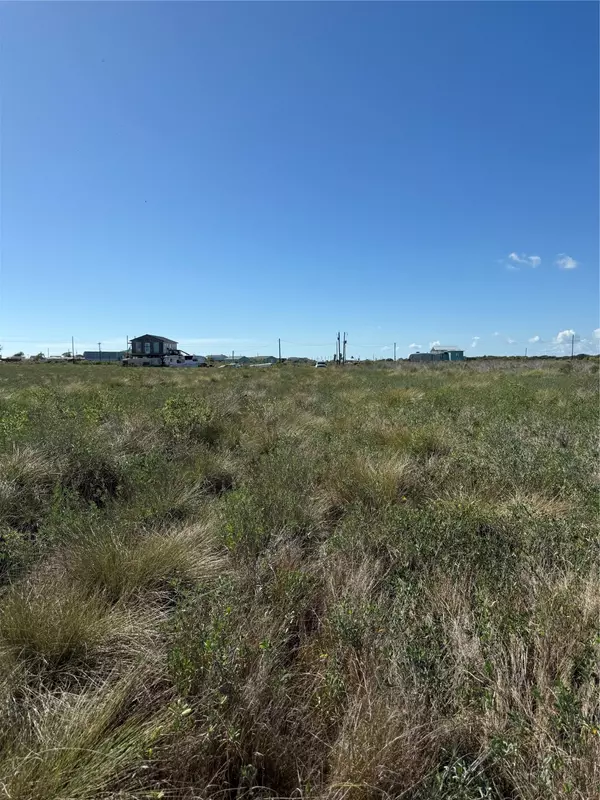 Sargent, TX 77414,318 Meganzer