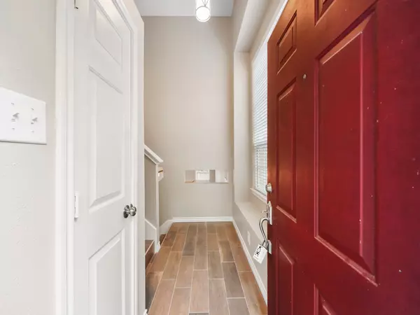 The Woodlands, TX 77382,167 Anise Tree Place