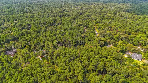 Magnolia, TX 77355,22102 Badger Hollow DR