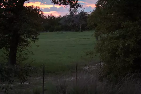 Red Rock, TX 78662,208 Newcastle DR