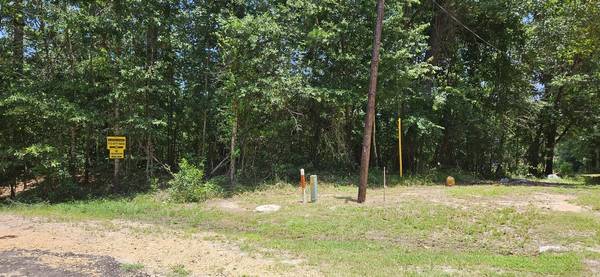 0 Blanks Bend road RD, Coldspring, TX 77331