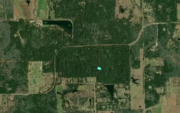 Hempstead, TX 77445,TBD Big Brave CIR