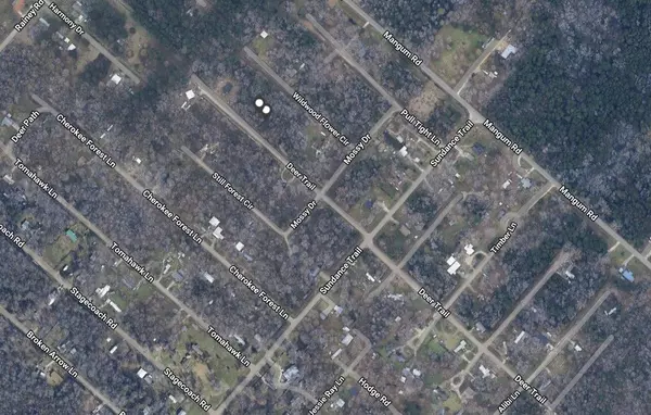 Livingston, TX 77351,TBD Deer TRL