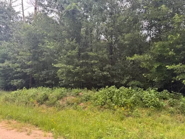 Livingston, TX 77351,TBD Deer TRL