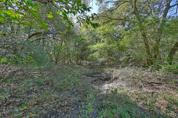 Carmine, TX 78932,TBD Ullrich RD