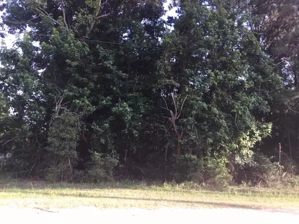 Onalaska, TX 77360,272 Artesian