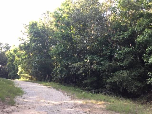 Onalaska, TX 77360,272 Artesian