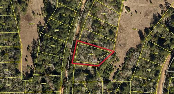 TBD Deerwood Drive, Hempstead, TX 77445