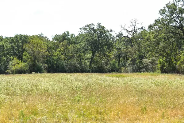 North Zulch, TX 77872,14136 Bundic RD