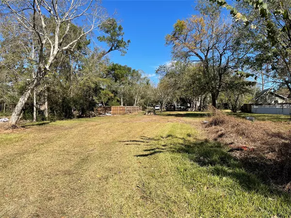 Friendswood, TX 77546,0 Creekview Ct DR