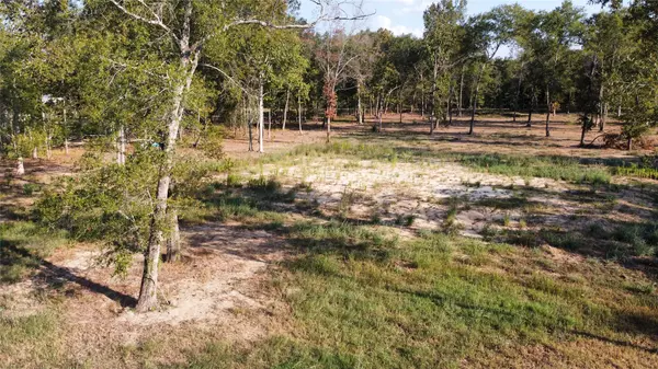 Dayton, TX 77535,1321 County Road 632