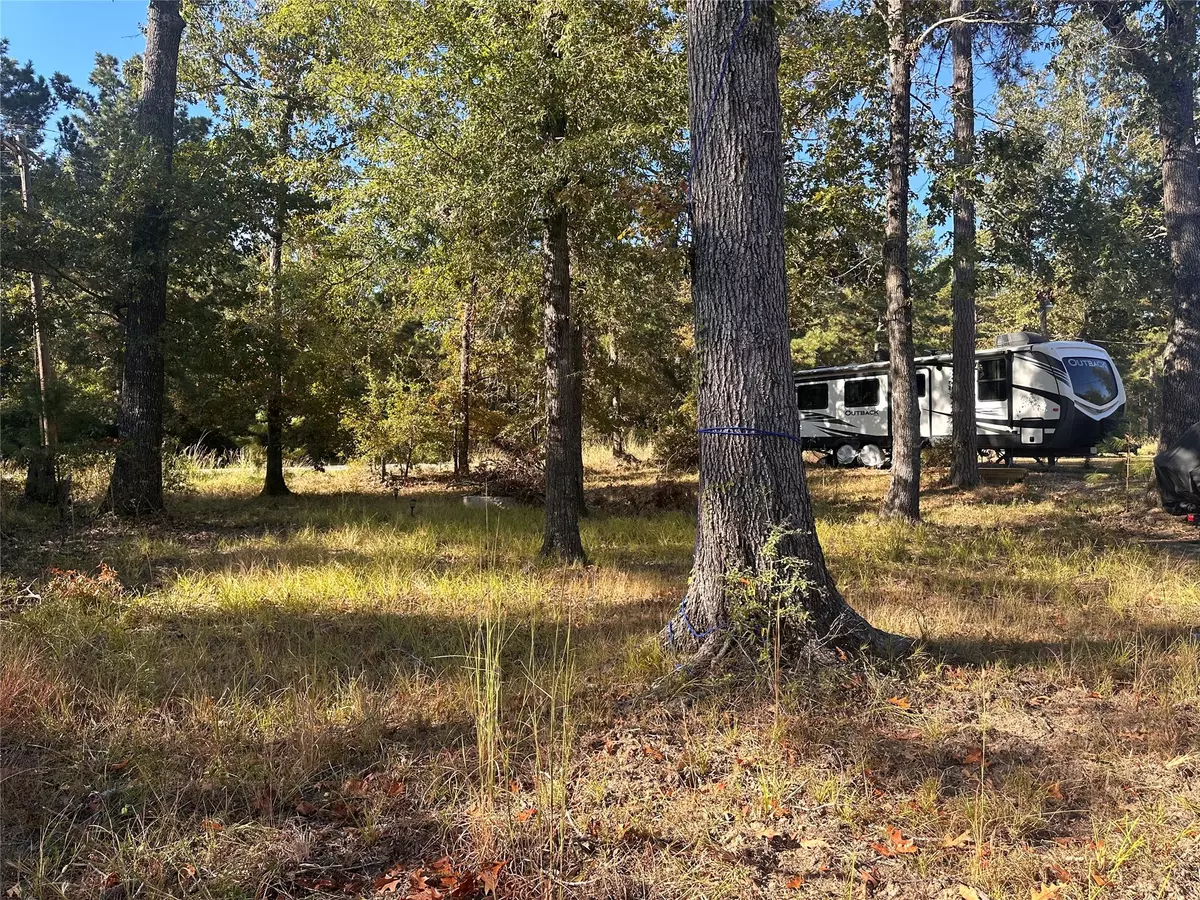 Point Blank, TX 77364,476 W Woodland Shores DR