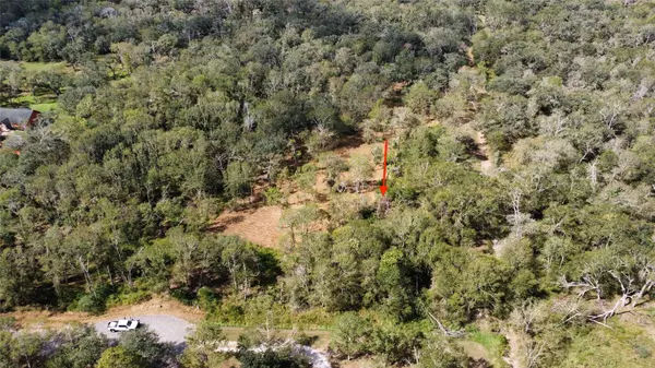 Damon, TX 77430,0 Live Oak DR