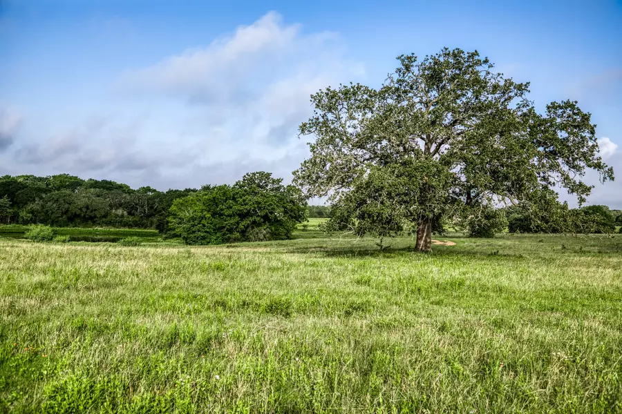 Tract 4 S Nassau RD, Round Top, TX 78954