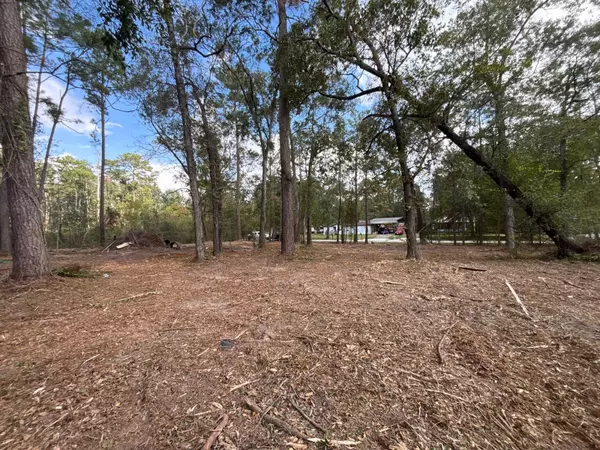 New Caney, TX 77357,20982 S Sabine Dr