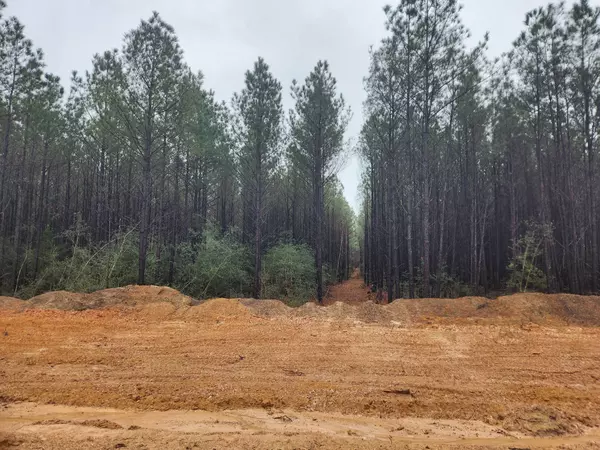 Willis, TX 77378,15659 Intrepid LN