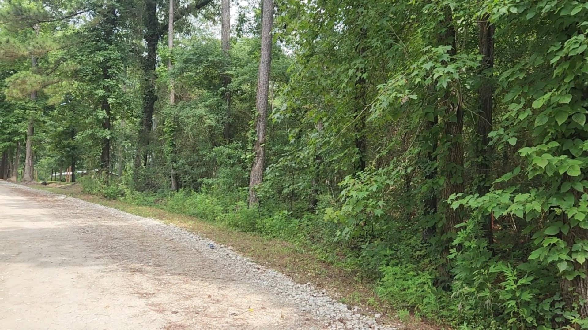 Plantersville, TX 77363,Lot 1 Pin Oak DR