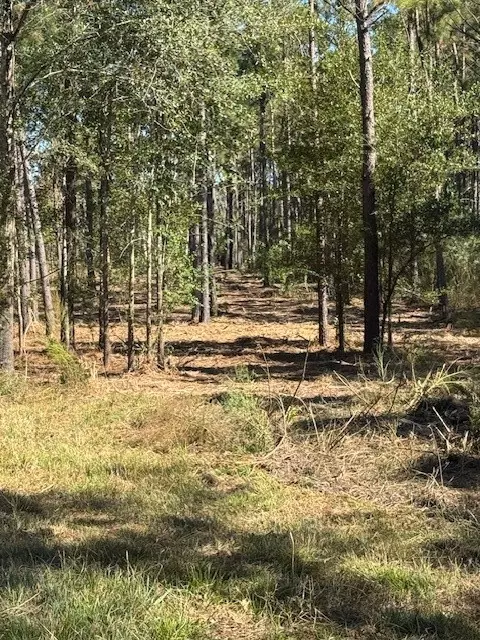 Livingston, TX 77351,TBD FM 350 South, Lot 7 Fm-350 S