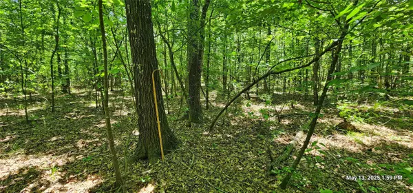 Clarksville, TX 75426,TBD CR 3233 E