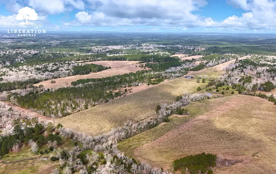 LOT 3 John Warren RD, Coldspring, TX 77331