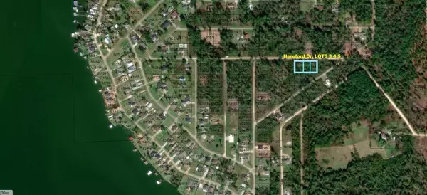 Onalaska, TX 77360,000 Lot 3,4,5 Hereford