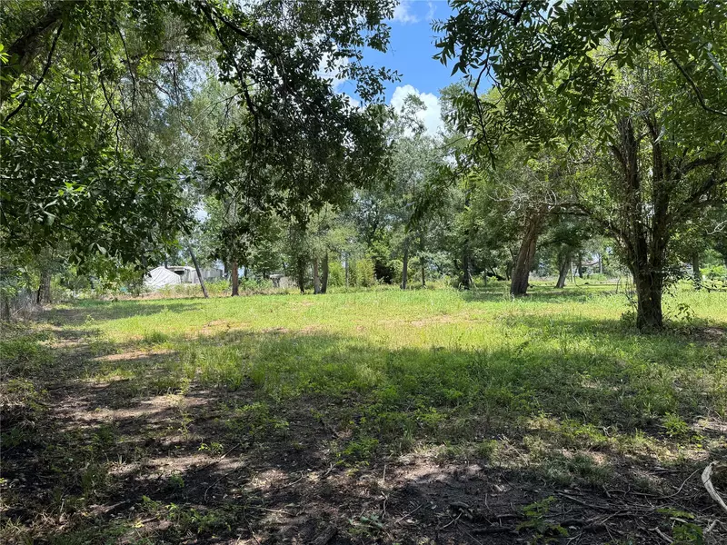20507 Pinemont DR, Guy, TX 77444