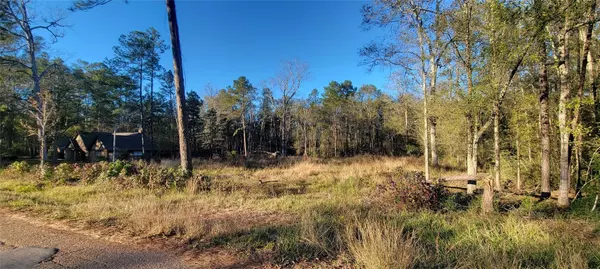 New Caney, TX 77365,3411 Roman Forest Blvd