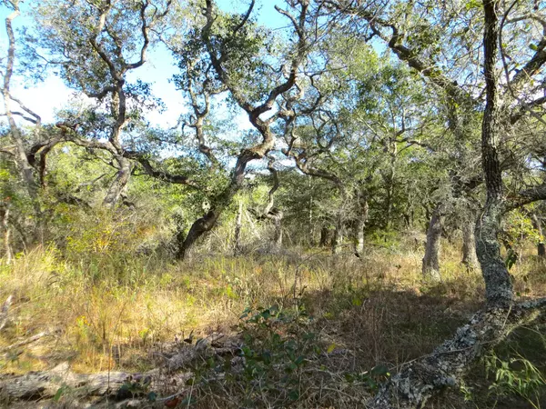 Altair, TX 77412,1078 Indian Circle Rd