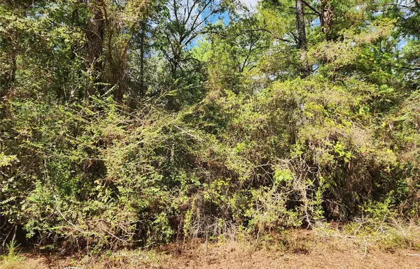 Hempstead, TX 77445,00 Deerwood Drive