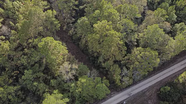 Livingston, TX 77351,186 Rosanky