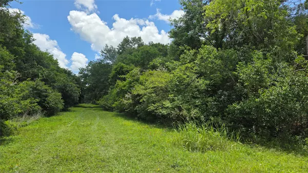 West Columbia, TX 77486,TBD. County Road 825