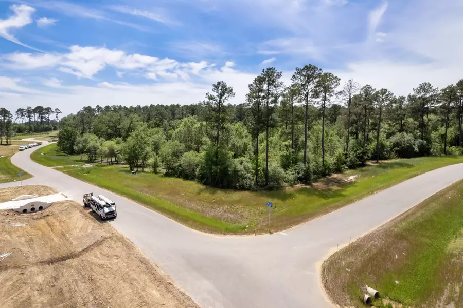 9546 Cedar Bend, Plantersville, TX 77363