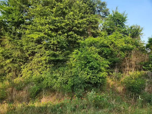 Plantersville, TX 77363,Lot 19 Mossyknoll DR