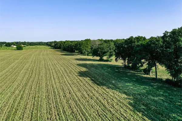 Crockett, TX 75835,125.74 Acres FM 2967