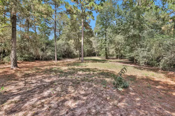 Montgomery, TX 77316,26149 Enzos WAY