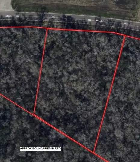 Lot 2 County Road 819, Brazoria, TX 77422