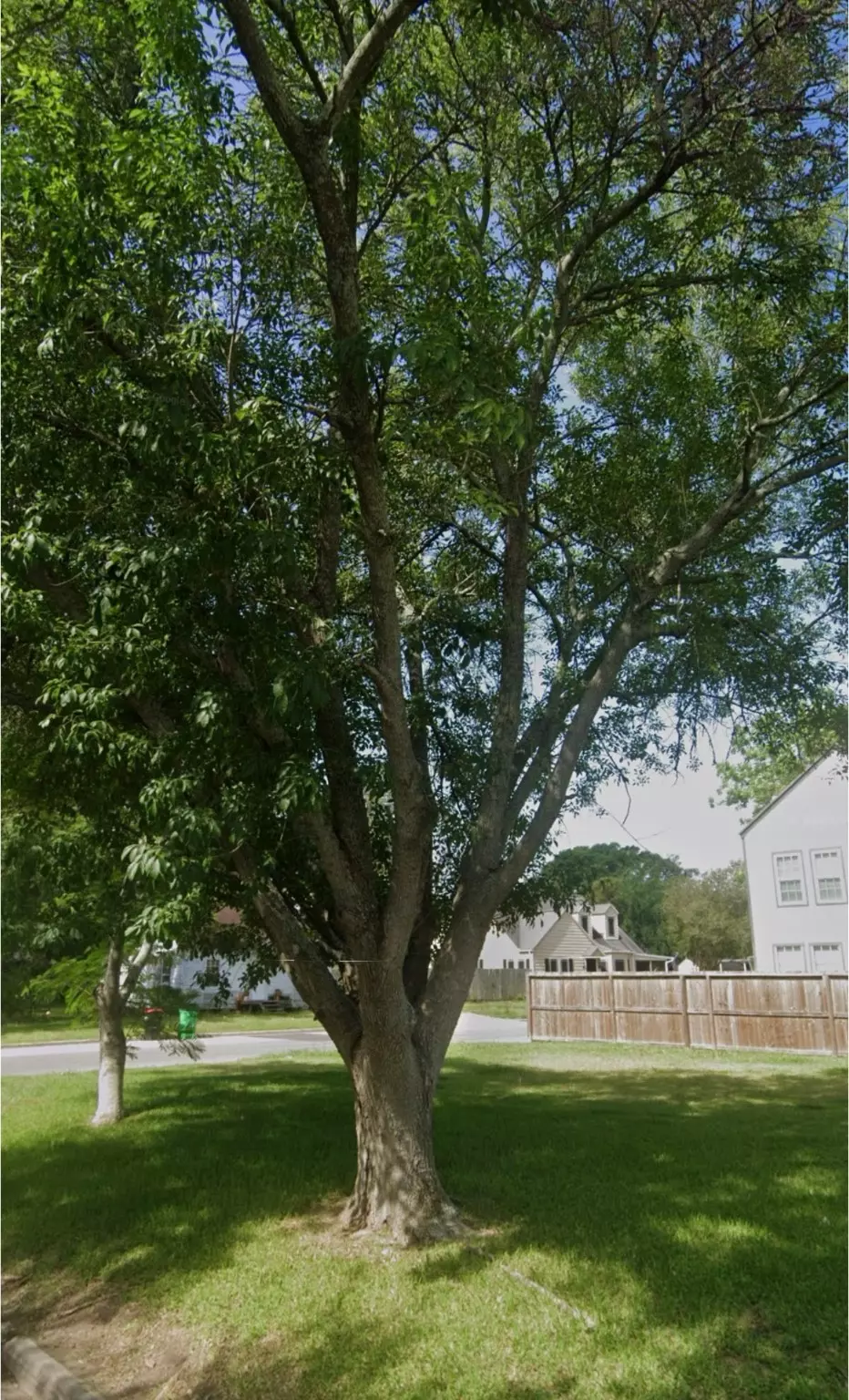 Baytown, TX 77520,608 E Gulf ST