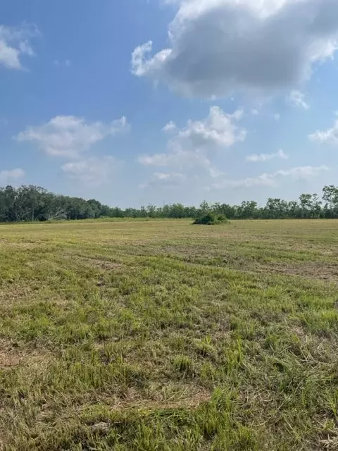 Angleton, TX 77515,0 HWY 288B