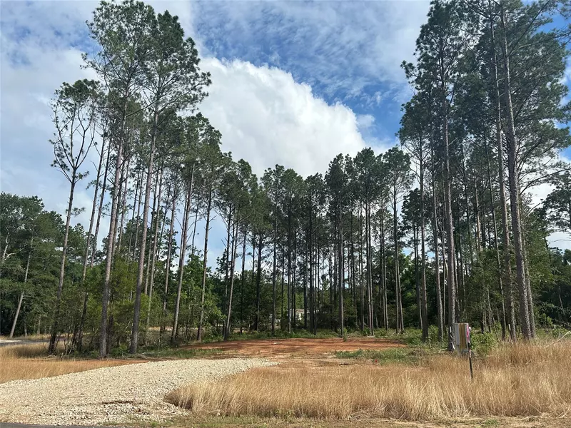 9510 River Creek Drive, Willis, TX 77378
