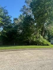 3824 Mystic Circle, Montgomery, TX 77356