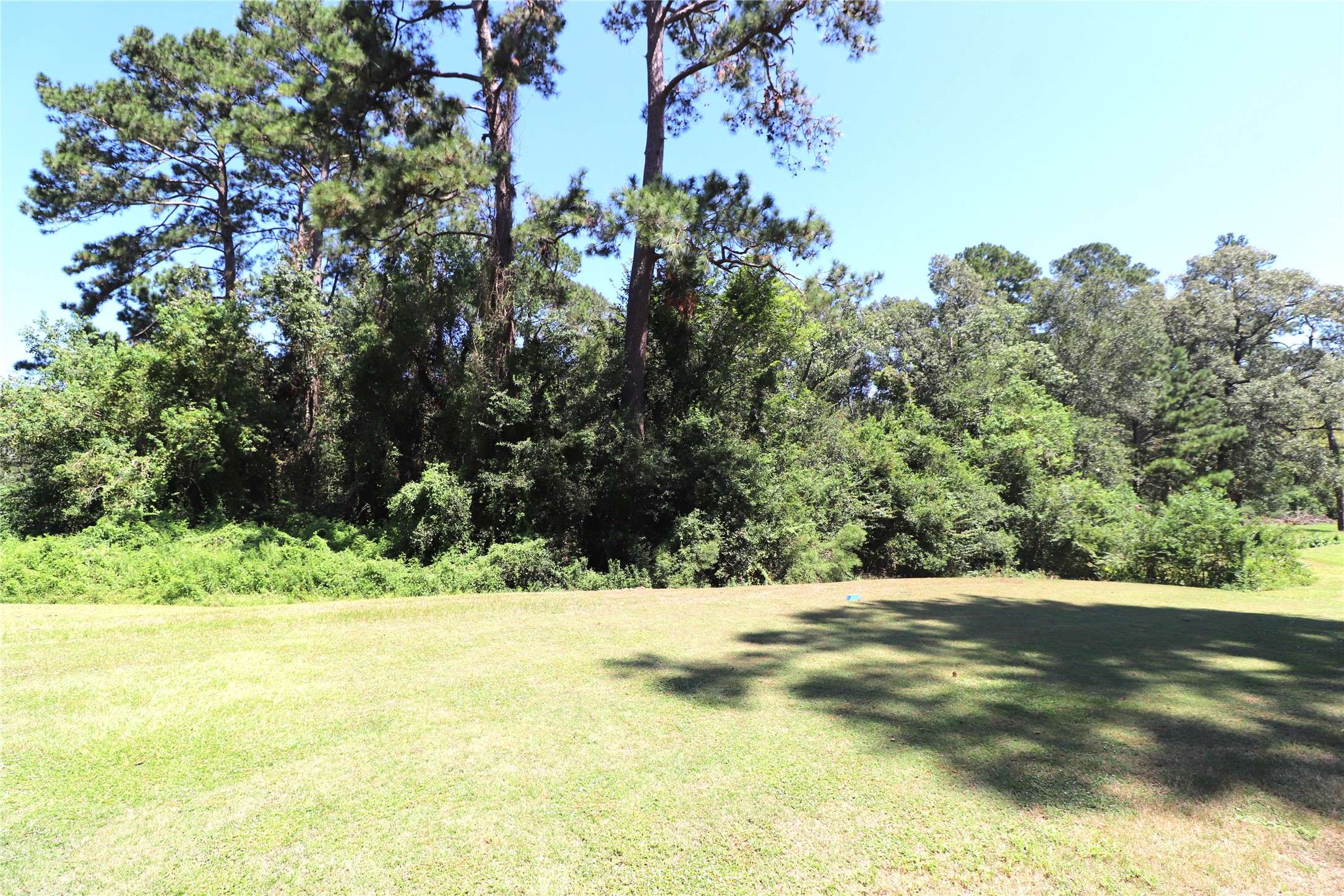 Huffman, TX 77336,27339 Doverbrook DR