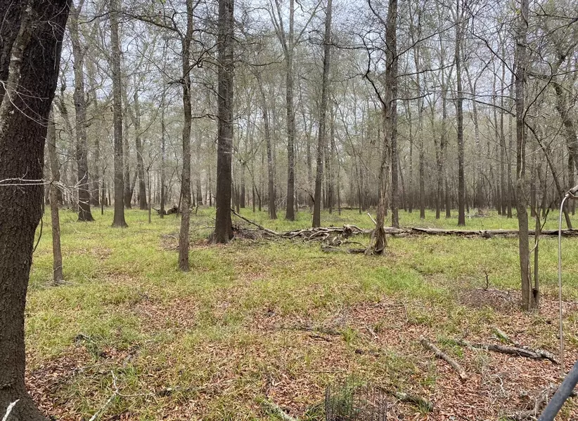 TBD County Road 112, Centerville, TX 75833