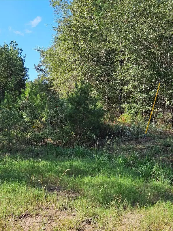 Huntsville, TX 77340,TBD 2-6-56 Stagecoach CIR