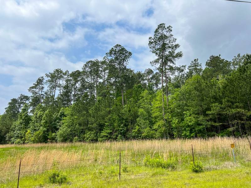 0 Elise Gore Lane, Silsbee, TX 77656