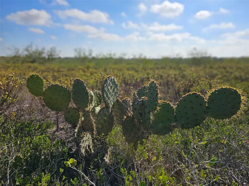 0 San Jose Ranch RD, San Benito, TX 78586